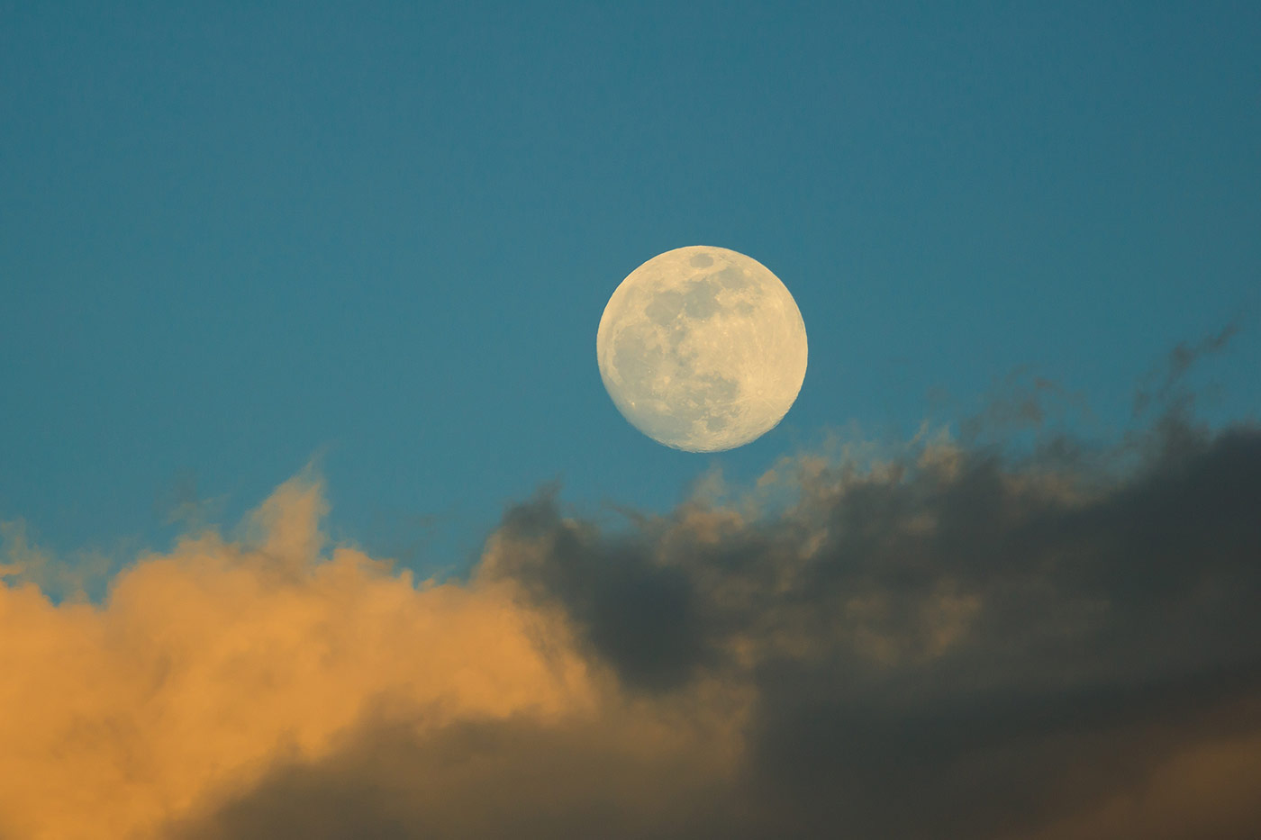 L'impact de la lune sur l'agriculture et le jardinage