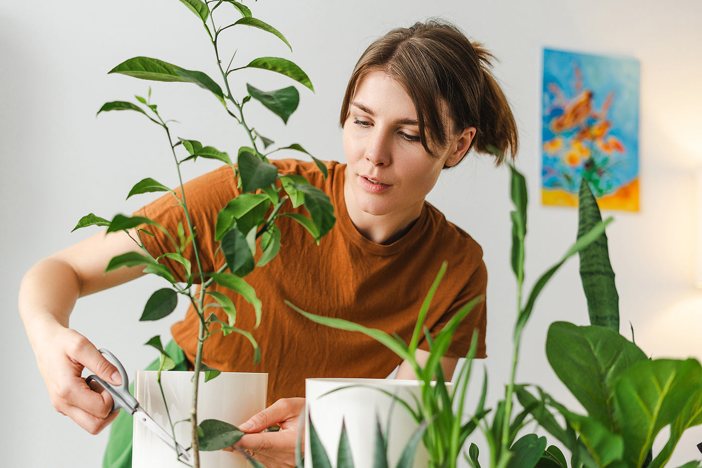 La taille et l'entretien régulier des plantes.