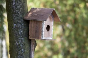 Choisir le bon nichoir pour les oiseaux de son jardin