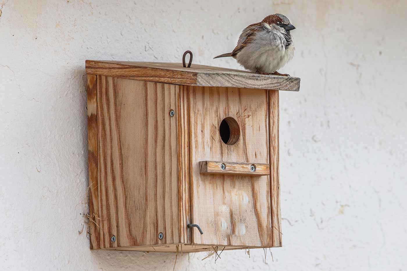 nichoir pour les oiseaux