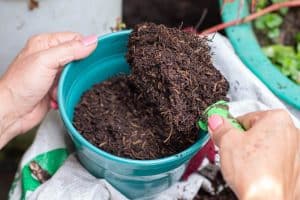 un compost réussi