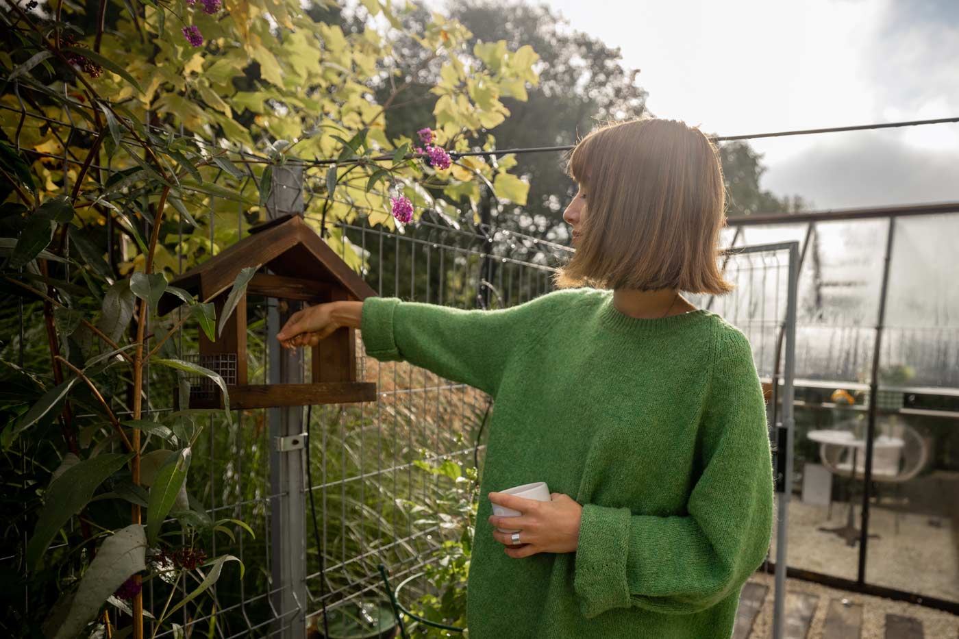 nourrir les oiseaux au fil des saisons